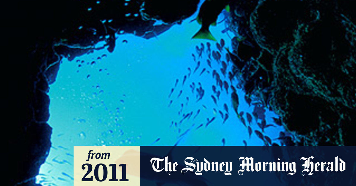 Oil giant Shell announces bid to drill off Ningaloo Reef